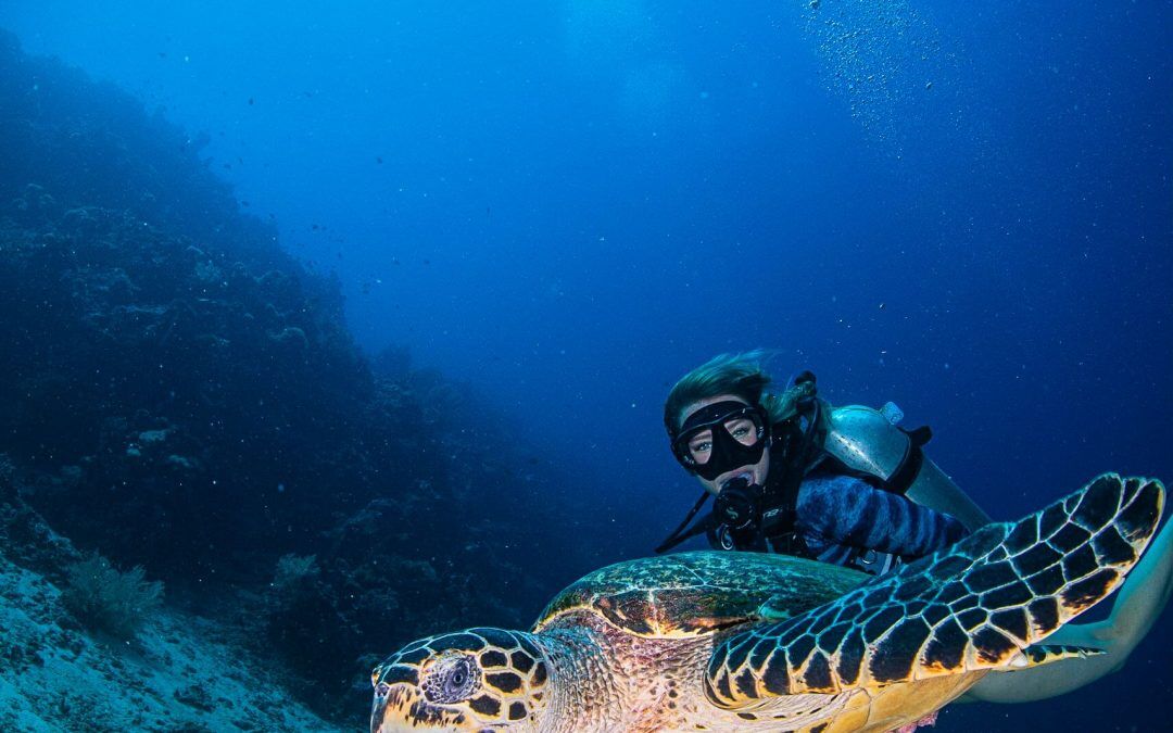 21 Best Scuba Diving Tips For Beginners